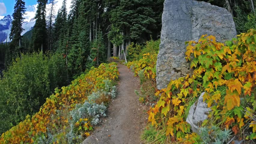 A first-person perspective footage captures a hiker