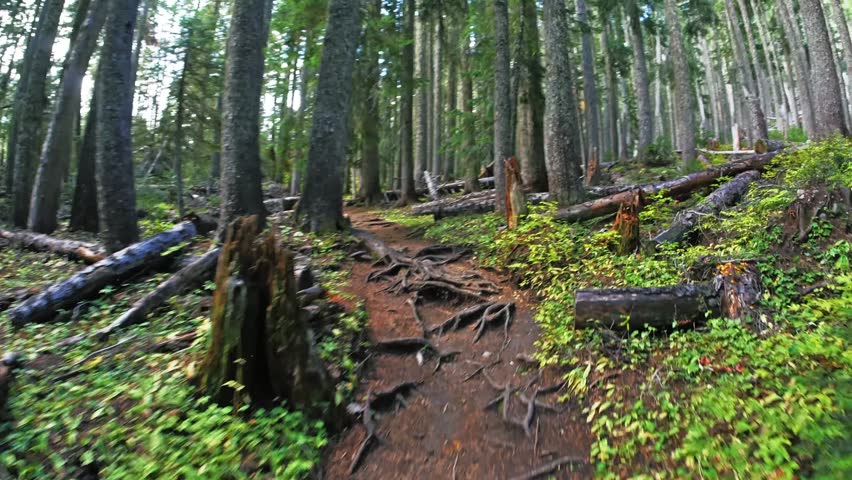 Footage of a hiker