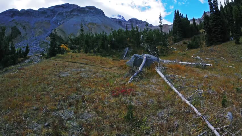 Footage capturing the rugged natural beauty and alpine scenery along the Glacier Basin Trail in Mount Rainier National Park, Washington. The trail ascends the upper White River valley through forests