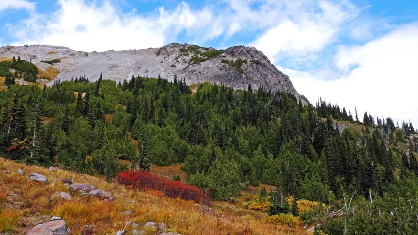 Footage showcasing vibrant fall colors along the popular Glacier Basin Trail in Mount Rainier National Park, Washington. The trail, which was originally a mining road in the late 1800s, offers stunnin