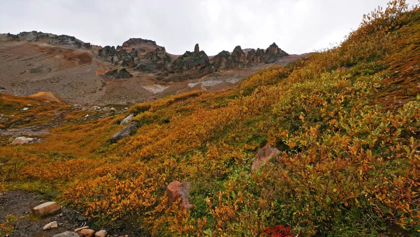 A scenic view of the Glacier Basin Trail in Mount Rainier National Park during the fall season. The foreground is dominated by vibrant orange and yellow subalpine vegetation, leading up a slope toward