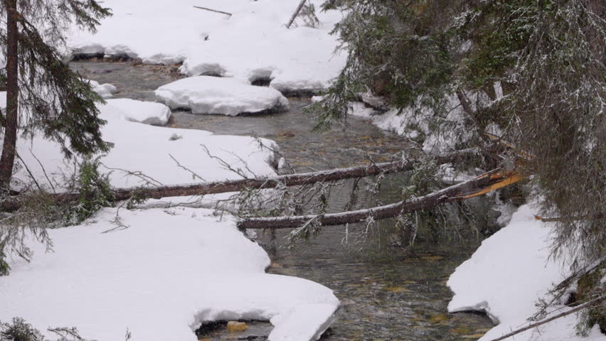 River partially frozen with flowing water in winter, surrounded by snow-covered banks.