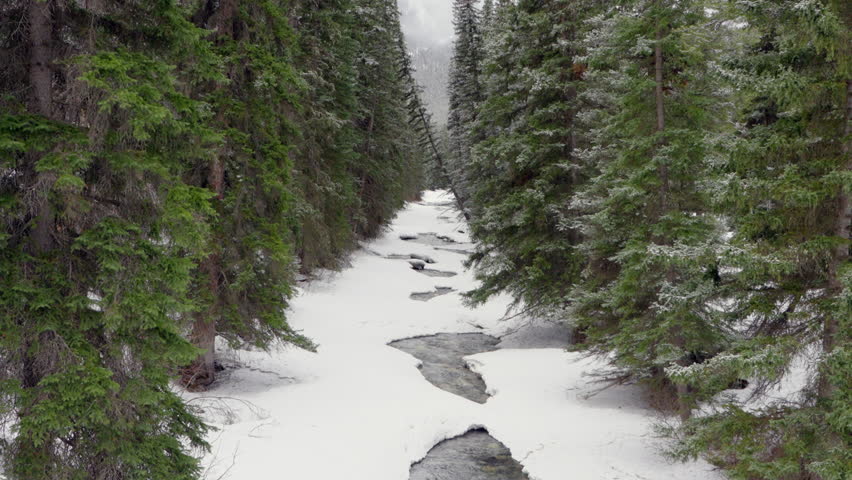 Snow-covered forest creek in winter at Johnston Canyon, Banff National Park, with falling snow.