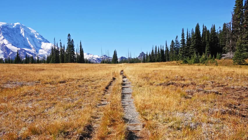 A beautiful, wide shot of a dirt hiking trail winding through a vast golden meadow in Grand Park, Mount Rainier National Park, with the snow-capped peak of Mount Rainier visible in the background agai