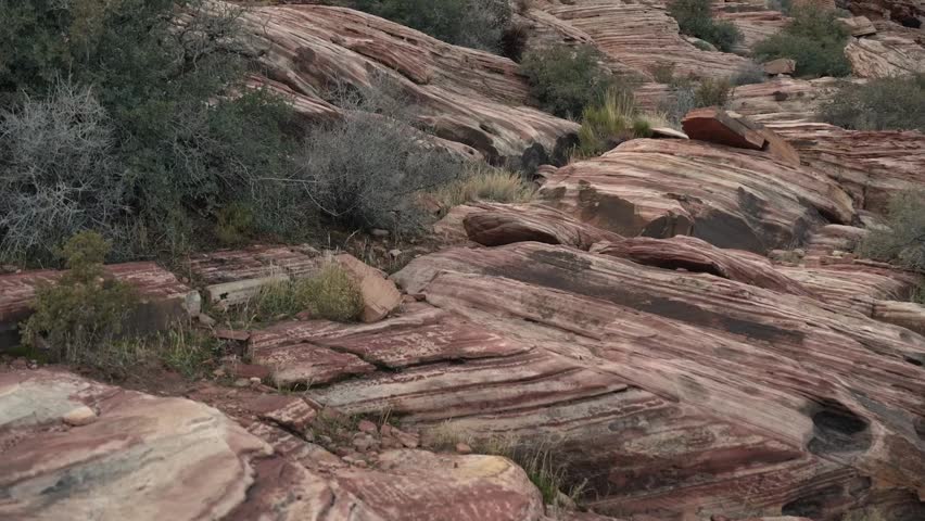Red sandstone canyon wall and desert shrubs in a rugged landscape.