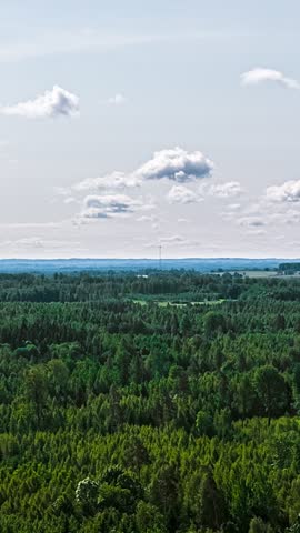 White clouds rolling in the sky over a forest area. Vertical time lapse shot.