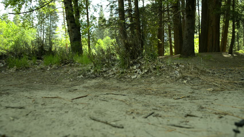 Yosemite LM64 Circular Dolly L Merced River Cathedral Beach