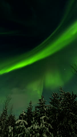 Vertical View Of Northern Lights Over Skibotn Near Tromsø In Northern Norway. Timelapse