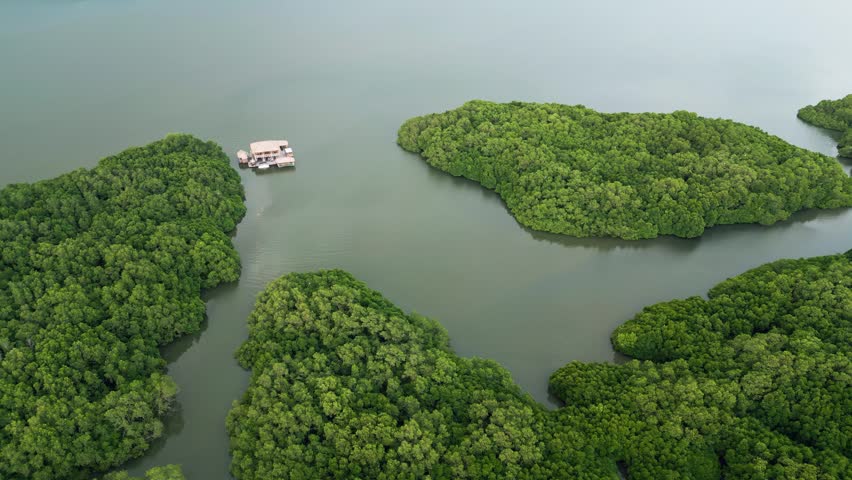 Tropical floating restaurant with traditional thatched roof surrounded by lush mangrove islands and calm coastal lagoon waters in remote tropical landscape aerial drone footage.