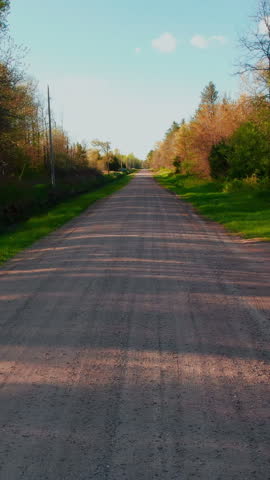 A quiet dirt road stretches through the Wisconsin countryside, bordered by vibrant greenery and trees. Ideal for rural travel segments or nature vertical projects.
