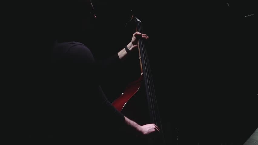 Portrait of a bassist playing an upright double bass on a dark stage, lit by a focused spotlight with deep shadows and large copy space