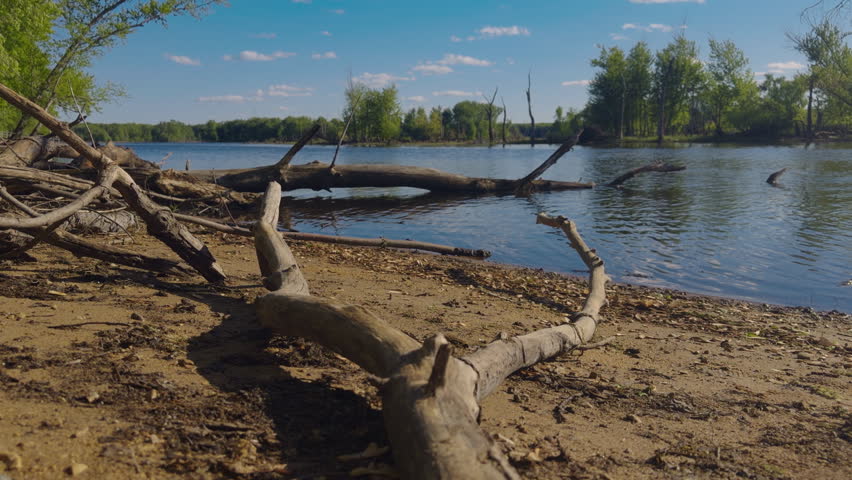 Branches and driftwood rest along a sandy riverbank with calm water and clear blue skies, in La Crosse Wisconsin, perfect for nature documentaries or environmental studies.
