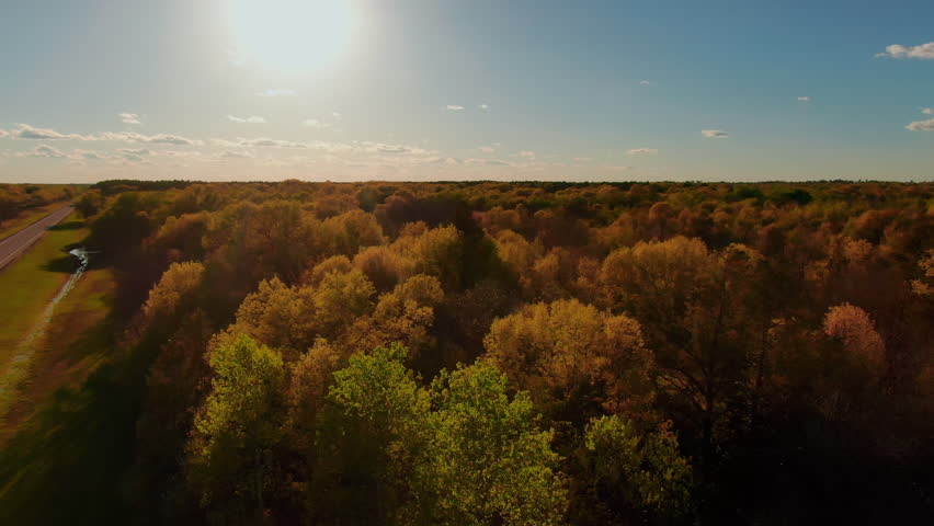 The sun casts a warm glow over a dense autumn forest with a road running alongside in aerial rising shot. Perfect for nature documentaries or seasonal transitions.