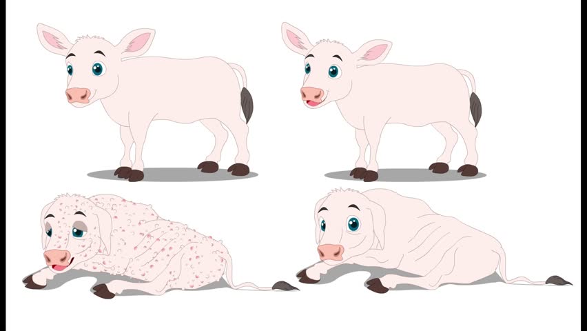 Charming minimalist line art illustration of four cartoon sheep in different poses, standing and resting on grassy ground with simple clouds above.
