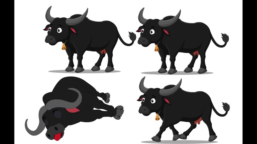 Set of four minimalist black and white line art illustrations depicting a bull and cow in different poses, isolated on a plain white background.