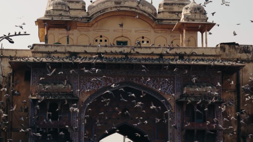 Flock of pigeons flying in front of a richly decorated ancient gate in Jaipur, India. The historic sandstone archway showcases intricate Mughal architecture and traditional artistic details