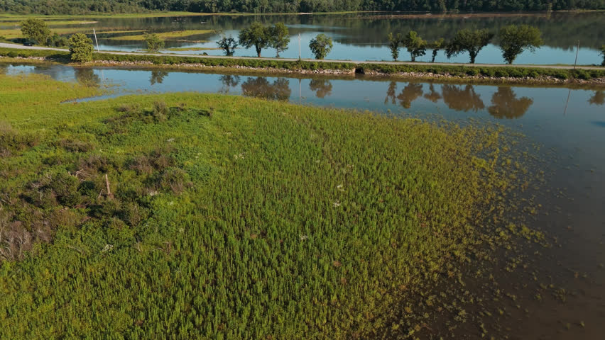 Aerial orbit of wetlands and grassy shoreline along Bush Creek Bay waters