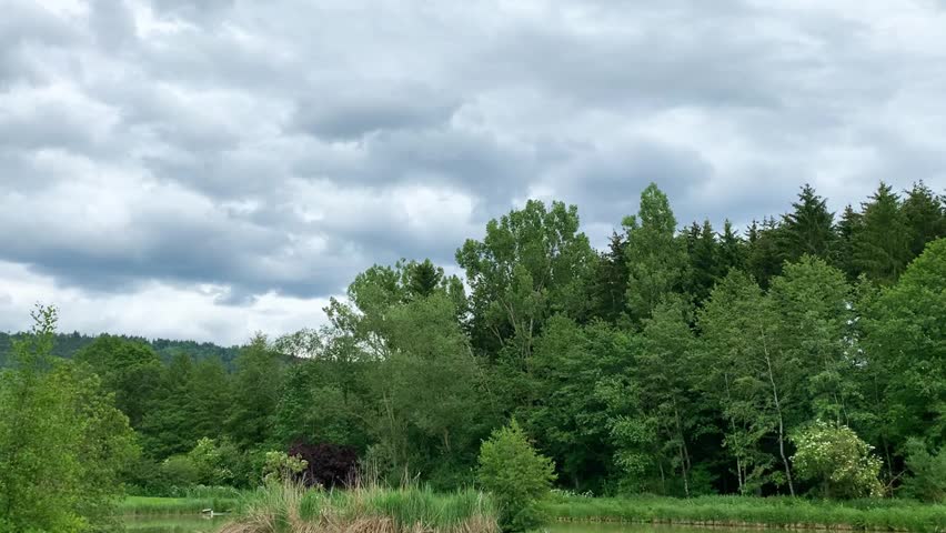 Clouds cover the sky above a calm pond surrounded by trees. Birds fly above while plants grow around the water