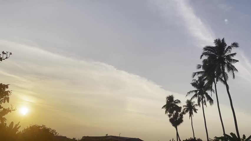 Silhouetted palm trees against a sunset sky in a tropical landscape.