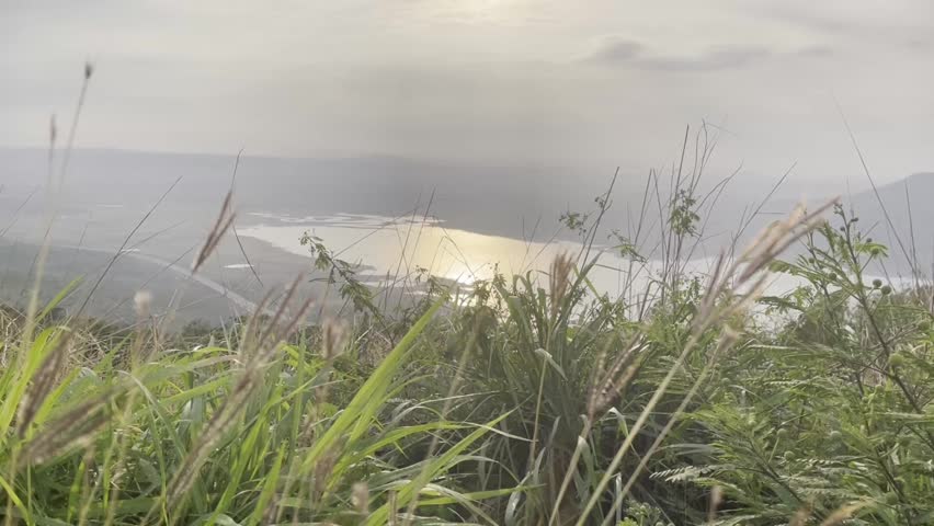 Tall grass overlooking a distant lake and hillside landscape under a hazy sky.