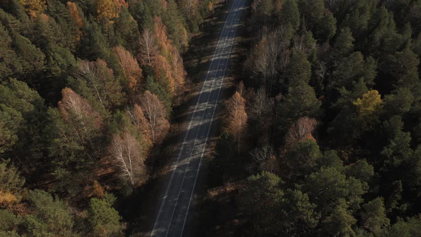 Drone footage of an empty asphalt road cutting through mixed autumn forest with pine and birch trees, warm fall colors and long shadows, Ural Mountains, Russia