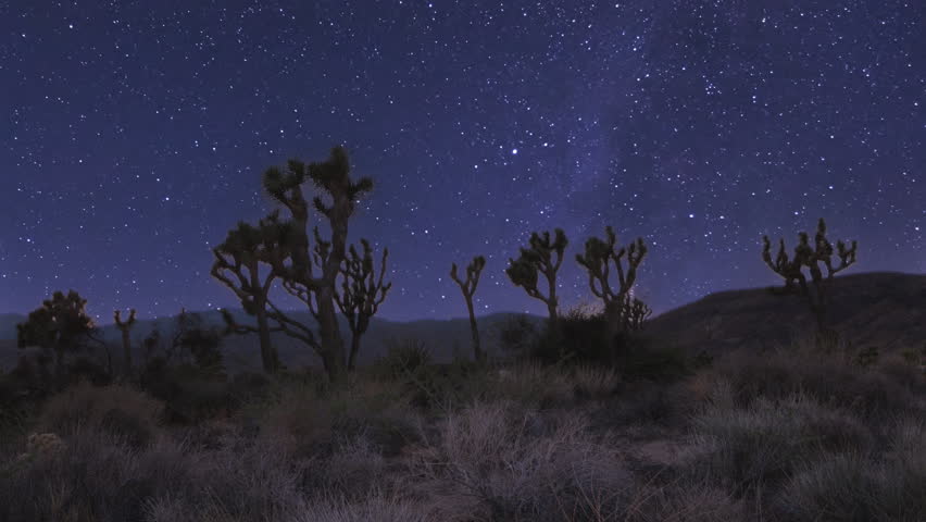 Desert Stars At Night Starry Sky Time Lapse, Joshua Tree National Park, California