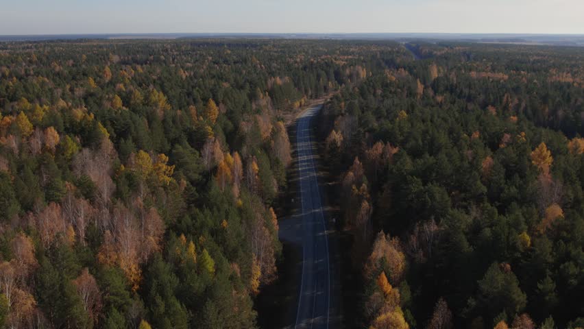 Drone footage of a long empty asphalt road cutting through dense mixed forest with autumn colors, shot on a clear day in the Ural region, Russia