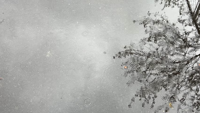 Light rain, drops, and ripples in puddle with reflections of trees