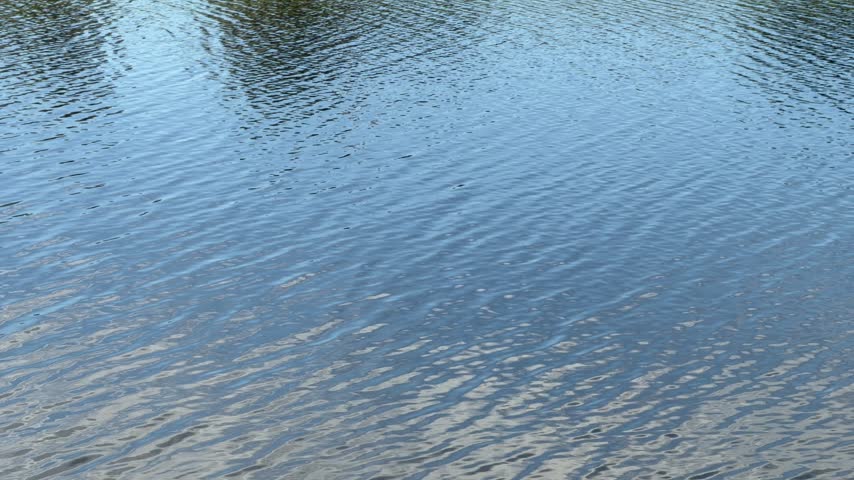 Water surface on a lake at noon.