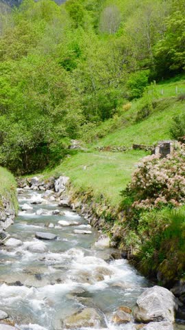 River flow through green landscape with view of trees and rocks near water