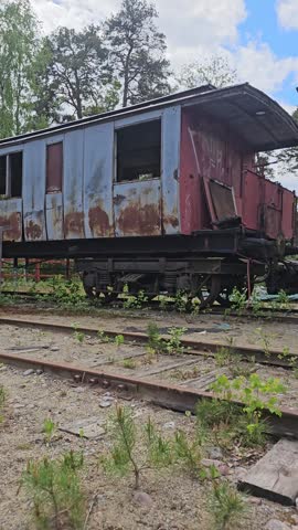 Old rusty railway wagons standing on overgrown tracks, with weathered wooden and metal parts, gravel, young plants and forest surroundings in a heritage railway museum area.