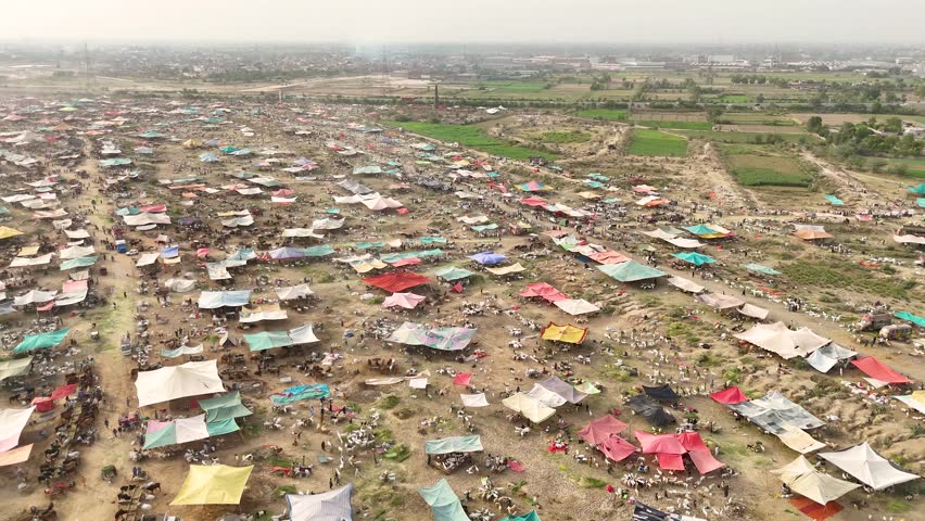 Aerial view of animal cattle farm, Kahna Kacha Bakra or Cow Mandi, Eid goat camel cattle market - Kahna Kacha, Punjab, Pakistan - 22 MAY 2026