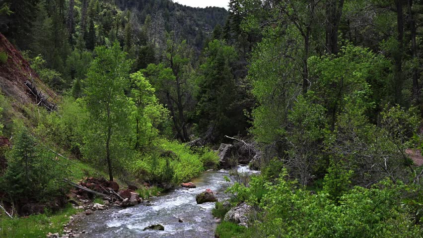 Stream below Fifth Water Hot Springs Trail in Utah