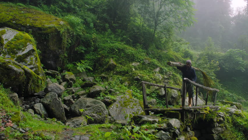 Working man crossing a wooden bridge while carrying a bundle of bamboo in a foggy green forest