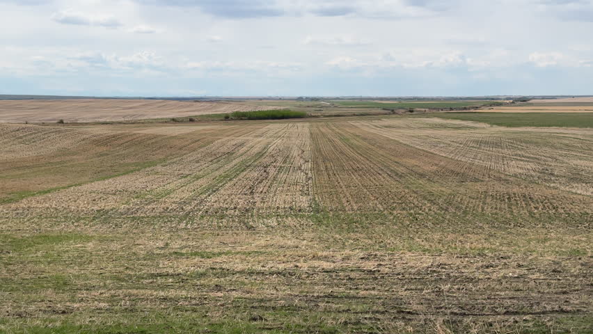 Scenic Farmland Landscape with Open Fields and Wide Horizon