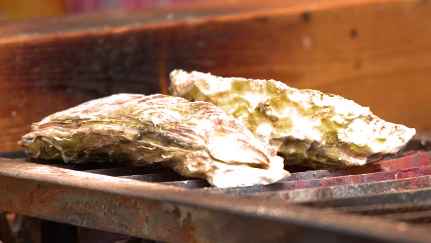 Close-up shot of two large oysters in shells cooking over a hot charcoal grill