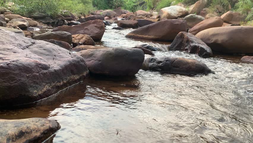 Calm Forest Stream with Smooth River Stones