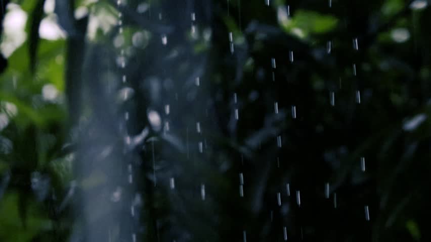 Heavy Rain Falling Against a Blurry Dark Green Foliage Background
