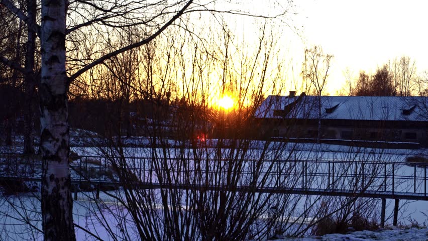 Bright sun setting behind leafless trees during a cold winter evening in the countryside