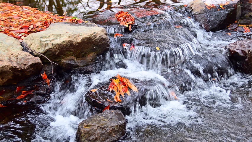 The vibrant red autumn leaves and the water of the mountain stream