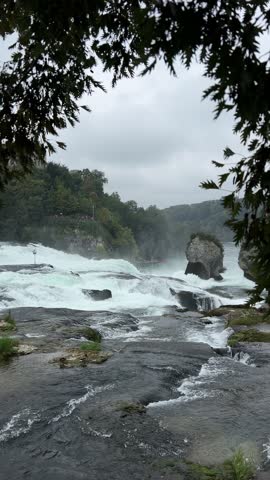 Dramatic Waterfall with Powerful Rapids and Wild Natural Scenery - Rheinfall Schaffhausen Switzerland