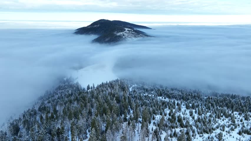 Drone flying backwards over deep snow drifts and frosted pine forest near Rysianka mountain shelter. Gloomy winter day with thick fog rolling through valleys in Beskidy, Poland.
