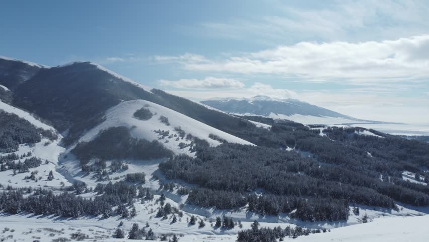 Aerial view of snow-covered mountain with dense coniferous forest at its base, showcasing a winter alpine landscape and natural wilderness