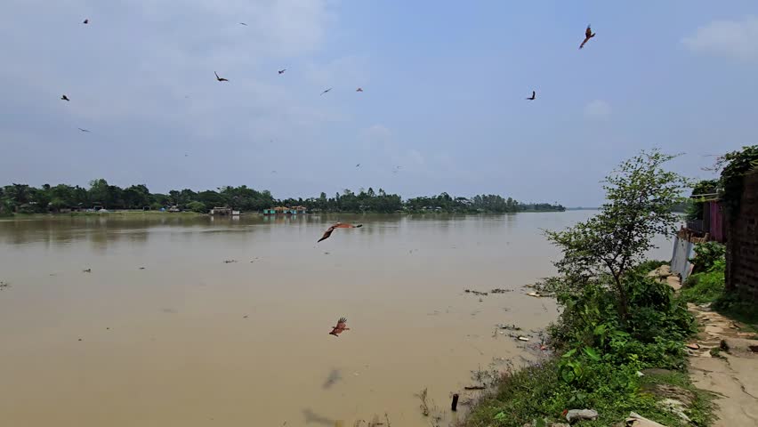 Birds soaring over wide river with distant village sky