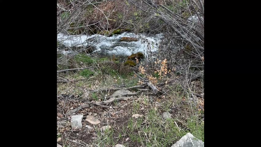 Flowing mountain spring in Utah