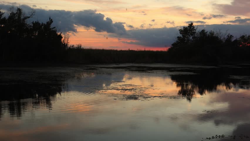 Louisiana, a flooded swamp forest in a wetland at sunset. Orange reflections of the setting sun shimmer on the water surface.