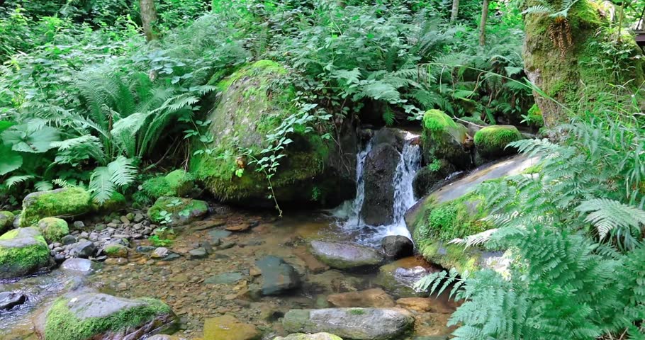 Beautiful mountain waterfall view in the forest of Georgia