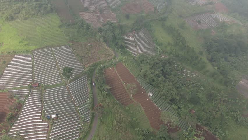Aerial view of agricultural landscape with green farming fields during bright countryside daylight scenery