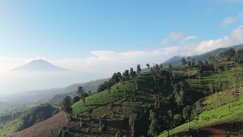 Aerial view of morning mountain landscape with agricultural fields during peaceful sunrise atmosphere