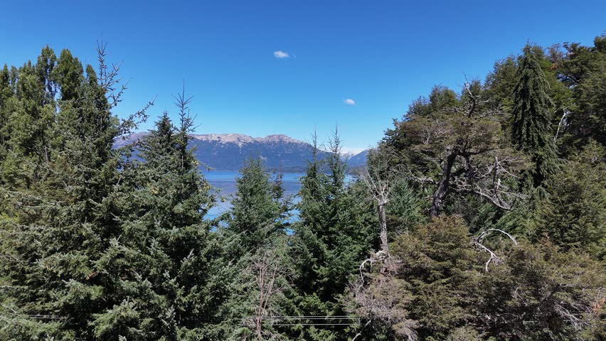 SAN CARLOS DE BARILOCHE, ARGENTINA: High-angle drone photograph showcasing a spectacular panoramic top view of the crystal-clear, multi-colored waters of Lake Nahuel Huapi (Lago Nahuel Huapi) in the Patagonia region of Argentina. The image highlights a stunning natural water gradient, where the shallow shoreline transitions from translucent emerald green and aqua turquoise into a dramatic, deep indigo blue abyss. The incredible clarity of the lake water reveals the intricate details of the submerged rocky lakebed, sandy shallows, and sunken tree trunks near the coast. Framing the vibrant water body are lush, dense sub-antarctic forests with tall pine trees and native evergreen vegetation blanketed across the rugged shoreline. In the bottom right corner, a small section of a scenic lakeside drive is visible, with a few parked cars belonging to visitors admiring the view. The scene is brilliantly illuminated by direct, bright midday sunlight, which intensifies the natural contrast between the rich green foliage and the vivid blue tones of the glacial lake. This pristine, untouched natural landscape perfectly captures the wild, ecological grandeur of Argentina